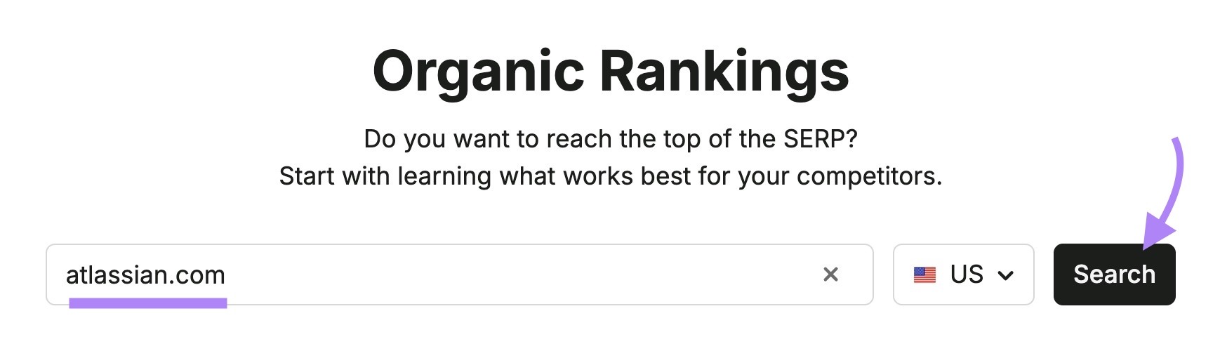 Organic Rankings tool start with a domain entered and "Search" clicked.